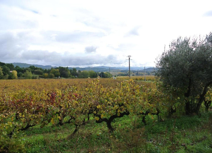 View from property 4, Superb Yurt of Mongolian Tradition in Provence, Vaucluse