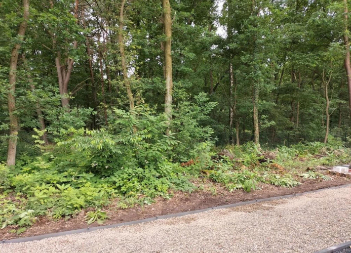 View from property 5, Vlaanderen Cozy Cottage, Limburg
