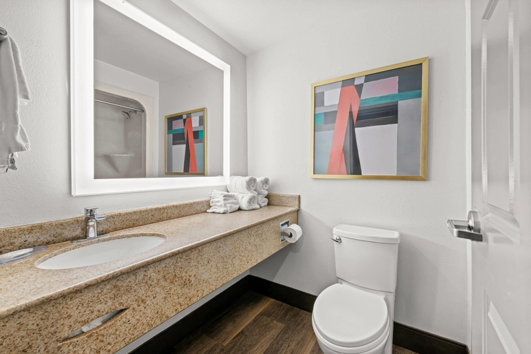 Bathroom 5, Comfort Suites Columbia at Harbison, Lexington