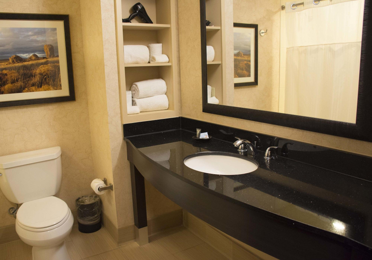 Bathroom 5, Zia Park Casino Hotel Racetrack, Lea