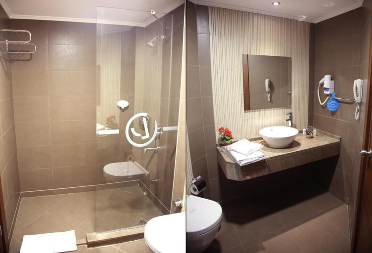Bathroom 4, Dedepark Hotel, Merkez