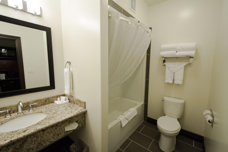 Bathroom 5, Chateau Nova Peace River, Division No. 19