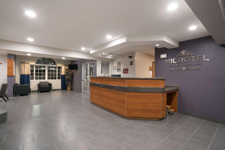 Public Area 3, Microtel Inn & Suites by Wyndham Springfield, Brown