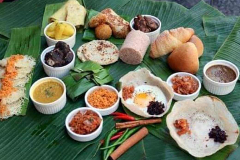 Food & Drinks 4, Elephant Avenue Yala, Thissamaharama