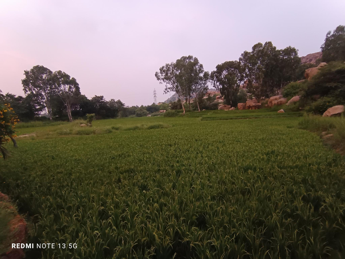 Others 4, Rambo Homestay and Restaurant Hampi , Koppal