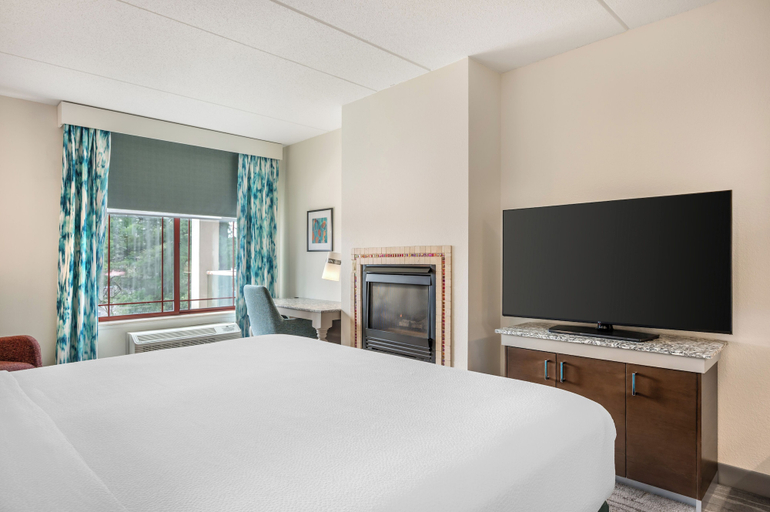 Bedroom 3, Hilton Garden Inn Wisconsin Dells, Sauk