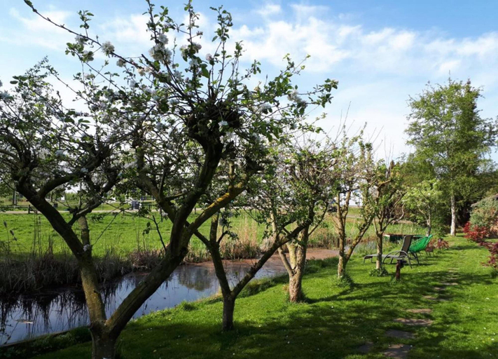 View from property 5, Canal-side Stay, Giethoorn, Steenwijkerland