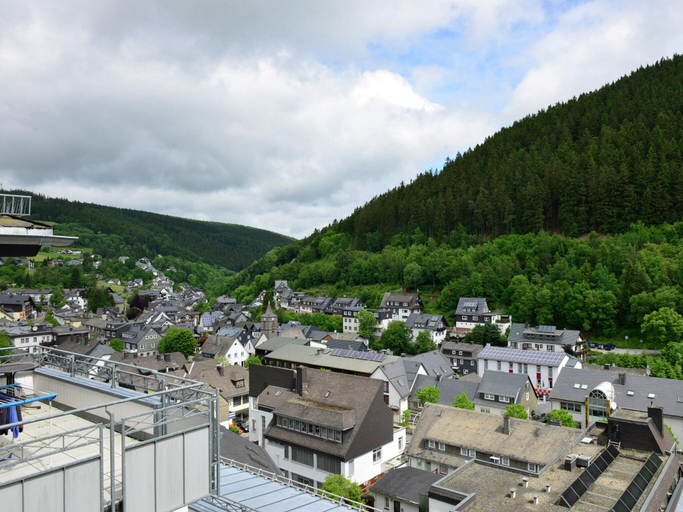 Others 5, Grosse Ferienwohnung in Willingen mit Balkon, Waldeck-Frankenberg