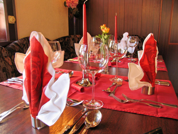 Food & Drinks 4, Hotel Wettin, Vogtlandkreis