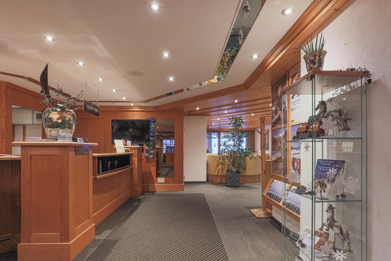 Public Area 3, Hotel Alpin Superior, Visp