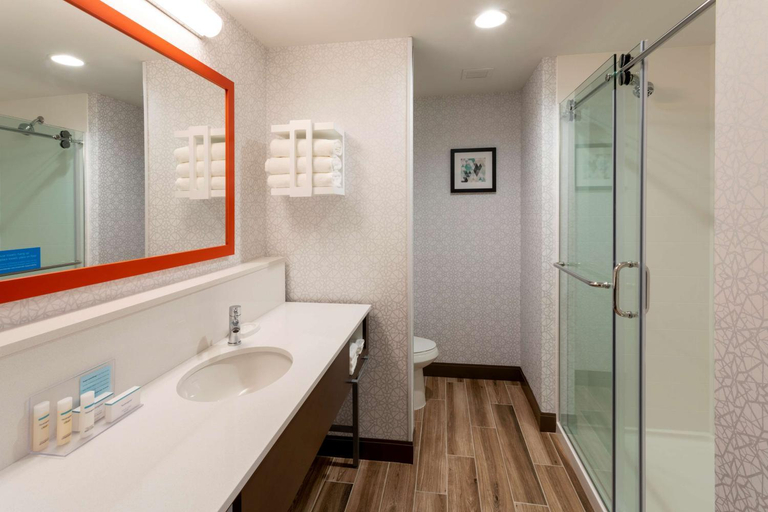 Bathroom, Hampton Inn Eden Prairie Minneapolis, Hennepin