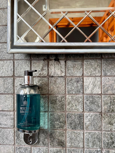 Bathroom 4, Almunia de San Miguel, Toledo