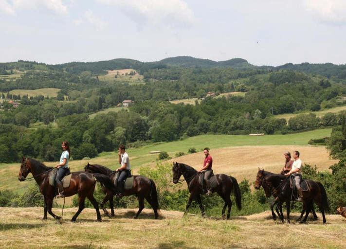 View from property 4, Serene Chianti Retreat, Arezzo