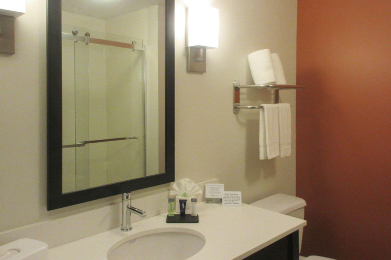 Bathroom 4, Sleep Inn & Suites Oregon - Madison, Dane