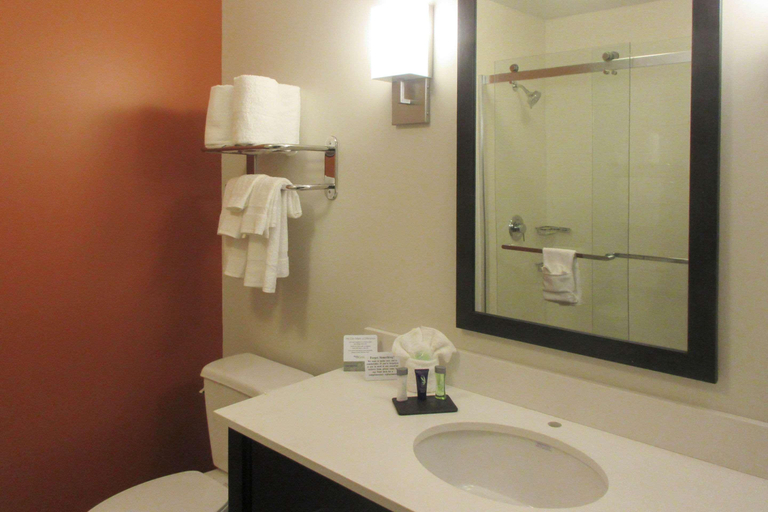 Bathroom 4, Sleep Inn & Suites Oregon - Madison, Dane