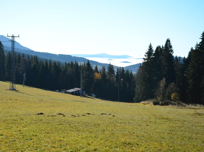 Others 5, Cozy Forest Adventure Stay, Klatovy