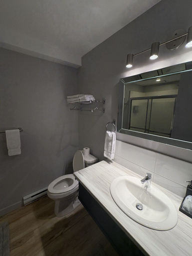 Bathroom 3, Auberge Le Chardo Inn, Prescott and Russell