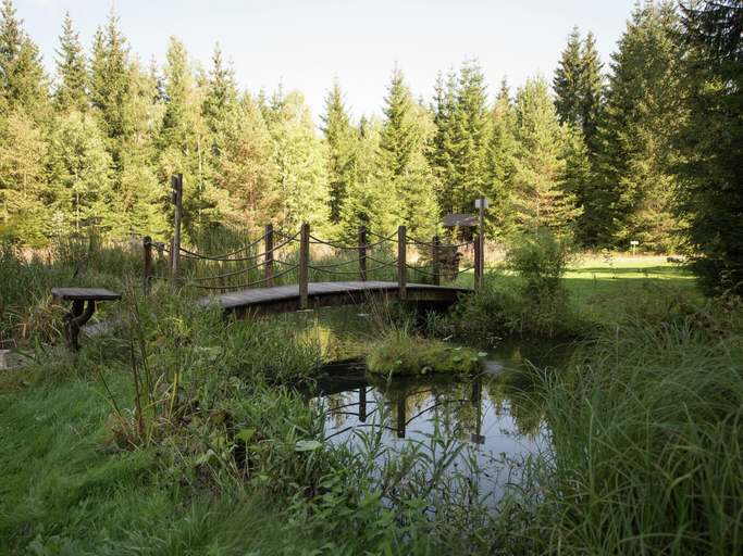 Others 5, Forest Retreat in Jagersgrun, Vogtlandkreis