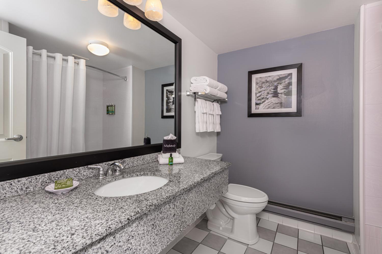 Bathroom, Acadia Inn, Hancock