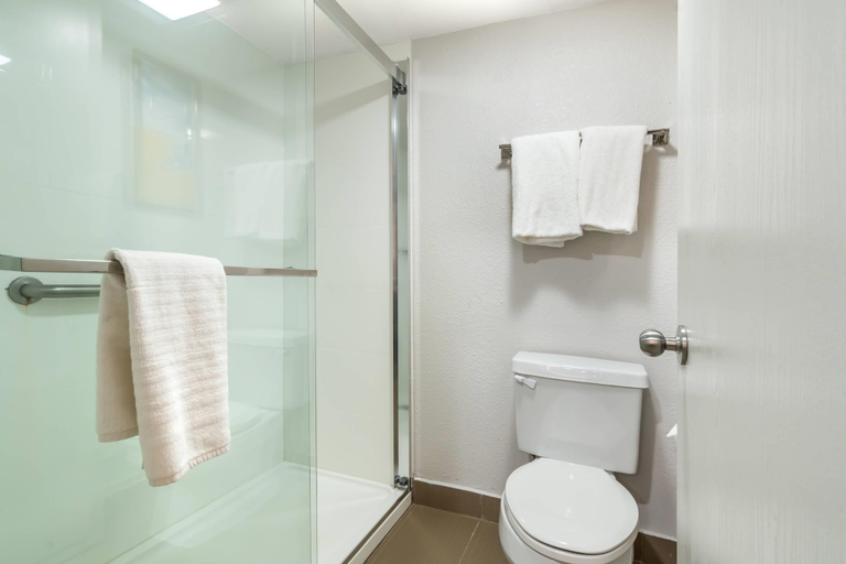 Bathroom 5, Comfort Inn & Suites Chesterfield - St. Louis, Saint Louis