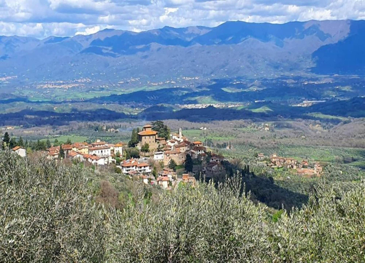 View from property 3, Serene Chianti Retreat, Arezzo