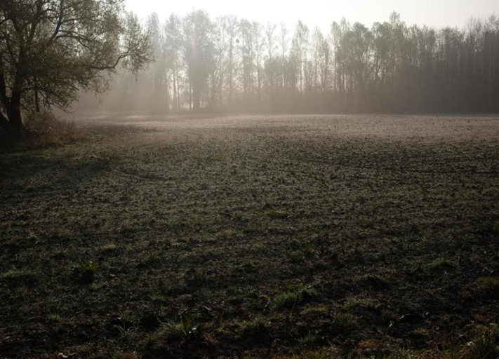 View from property 3, Scherpenheuvel Garden Home, Vlaams Brabant