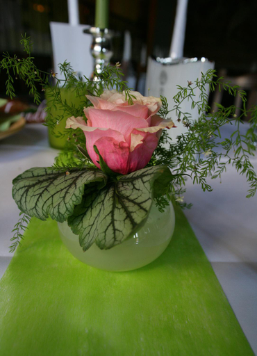Food & Drinks 5, Landhaus Tauber, Neusiedl am See