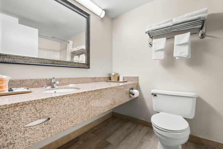 Bathroom 5, Quality Inn Auburn Campus Area I-85, Lee