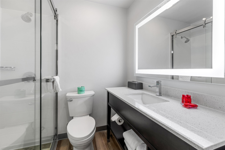 Bathroom 4, SureStay Plus Hotel by Best Western Mammoth Lakes, Mono