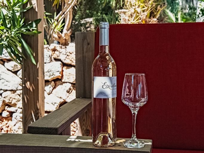 Food & Drinks, Holiday Home in Gassin near Saint Tropez, Var