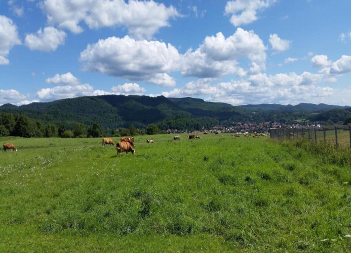 View from property 5, Welcoming Bungalows in Neustadt, Nordhausen