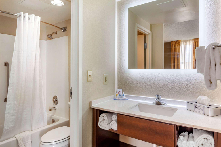 Bathroom 5, Comfort Inn & Suites Staunton, Staunton