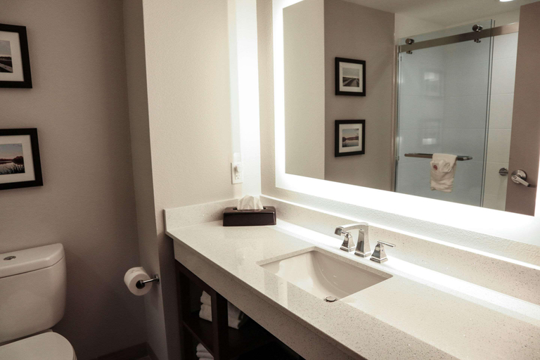 Bathroom 4, Comfort Suites Gainesville Near University, Alachua