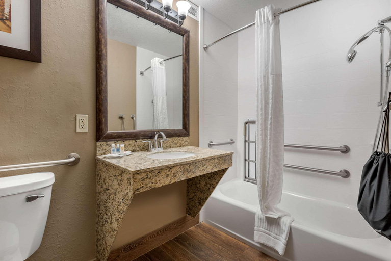 Bathroom 4, Comfort Suites near Route 66, Sangamon