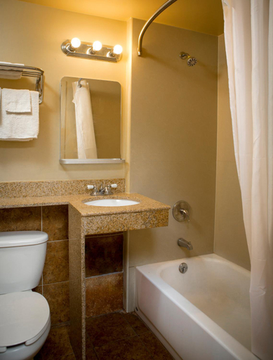Bathroom 3, Viking Motel, Wayne