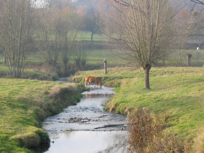 Others 5, Hotel Kreutzer, Gulpen-Wittem