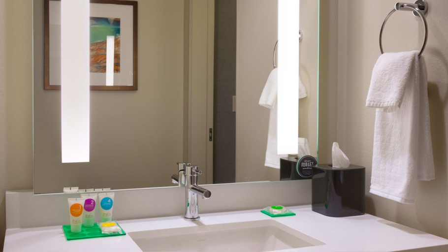 Bathroom, Hyatt Place St George/Convention Ce, Washington