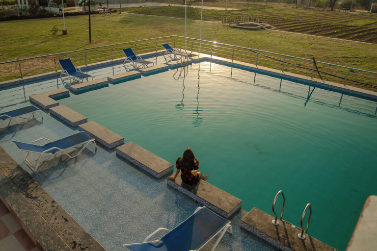 Sport & Beauty 3, Sunflower Saga, Jaipur