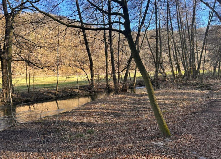View from property 5, Welcoming Apartment in Meisdorf Near Nightlife, Harz