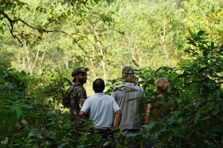 Others 4, Wildflow jungle yoga safari and homestay, Narayani