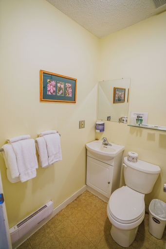 Bathroom 4, Helmcken Falls Lodge, Thompson-Nicola