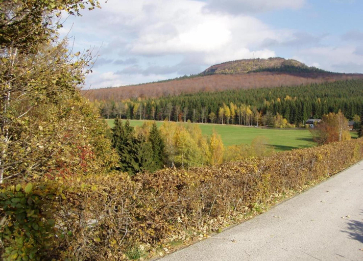 View from property 4, Ferienhaus in Barenstein bei Grunen Hugeln, Erzgebirgskreis