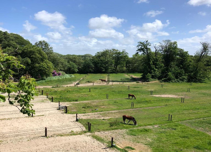 View from property 2, Sustainable Home Near the Golf Course, Velsen