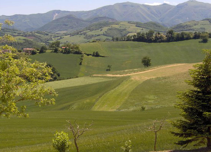 View from property 4, Holiday Home in Urbania With Garden BBQ, Pesaro E Urbino