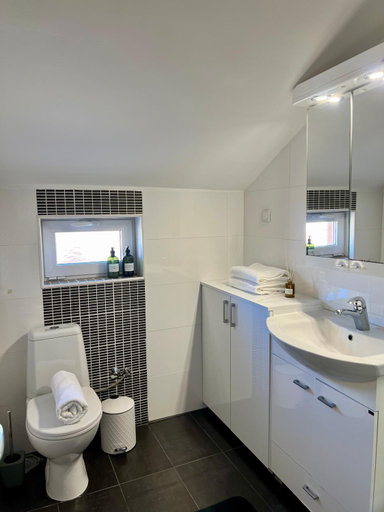 Bathroom, Apart Mi, Novi Sad