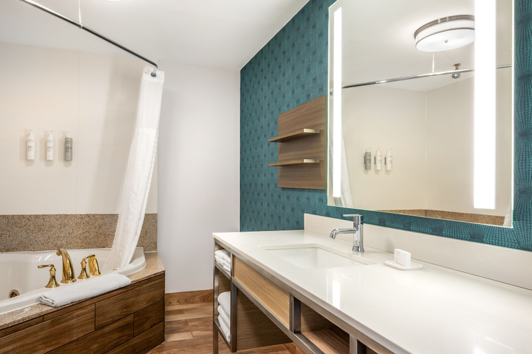 Bathroom 4, Hilton Garden Inn Wisconsin Dells, Sauk