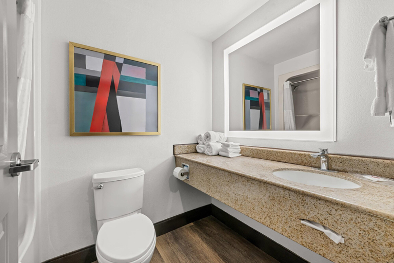 Bathroom 5, Comfort Suites Columbia at Harbison, Lexington