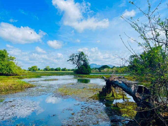 Others 5, The Wish Lake Resort, Palugaswewa