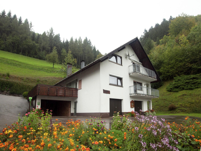 Others 5, Ferienwohnung, Bad Peterstal, Ortenaukreis