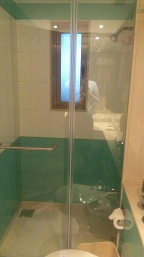 Bathroom 3, The Royal Orchid Hotel, Chembur, Mumbai Suburban